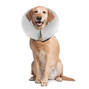 Halskrause Hund PET SPPTIES aufblasbar Halsband, weich