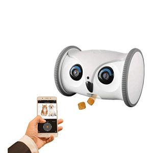 Haustier-Kamera SKYMEE Eulenroboter: Mobile Full HD, per App