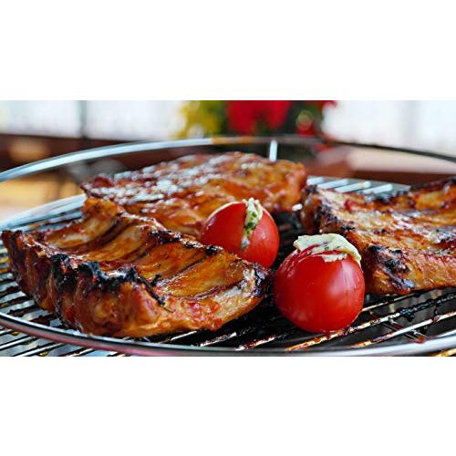 Holzkohlegrill ACTIVA Grill Tischgrill AIRBROIL JUNIOR Rot
