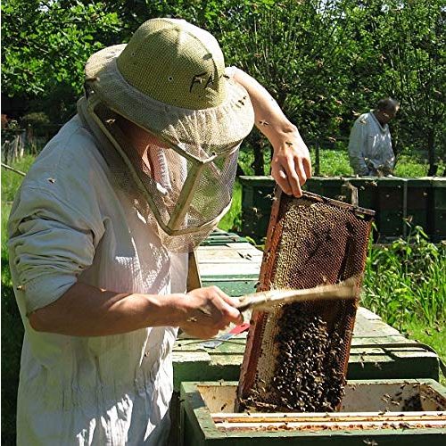 Honig Imkerei Nordheide Vanille in 500g – Akazien