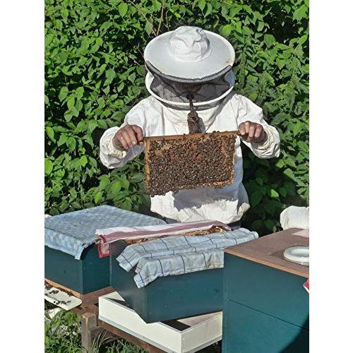 Honig ImkerPur, nicht geschleudert oder erhitzt, 1000 g