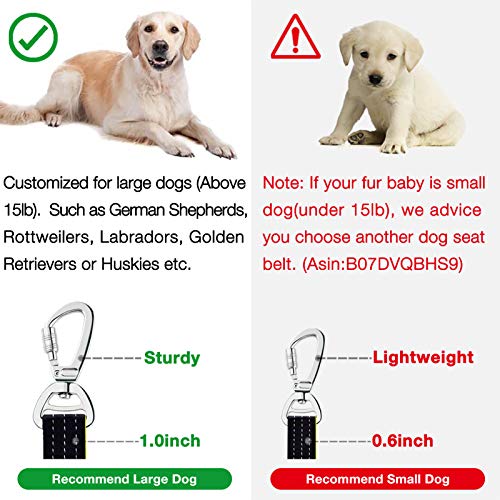 Hunde-Sicherheitsgurt iBuddy ® mit doppelten sicheren Haken