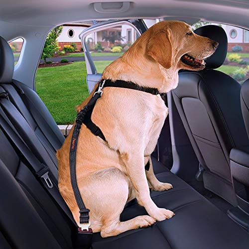 Hunde-Sicherheitsgurt iBuddy ® mit doppelten sicheren Haken