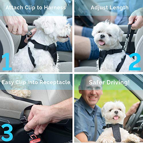 Hunde-Sicherheitsgurt LauCentral [2 Stück] Hunde Sicherheitsgurt