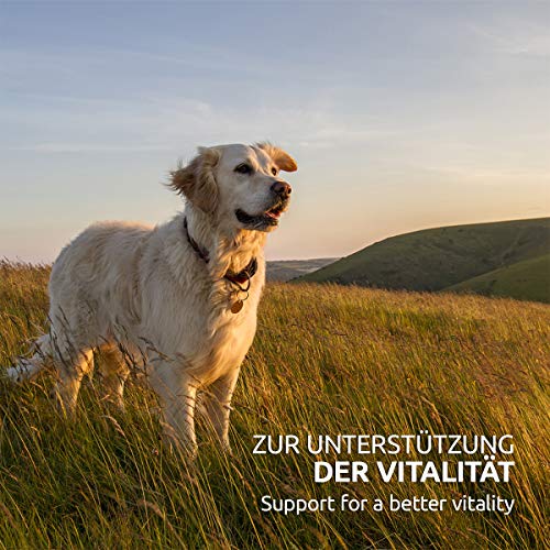 Hunde-Vitamine AniForte Barf Complete Pulver für Hunde 1kg