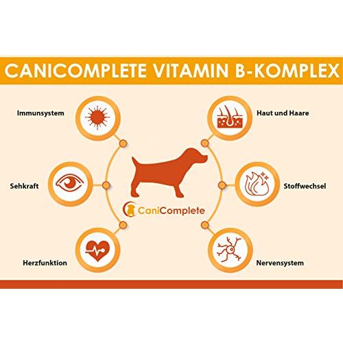 Hunde-Vitamine CaniComplete Vitamin B-Komplex, 120 Stück
