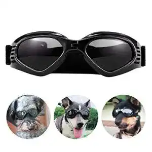 Die beste Hundebrille 2026 Test Bestseller Hundebrille