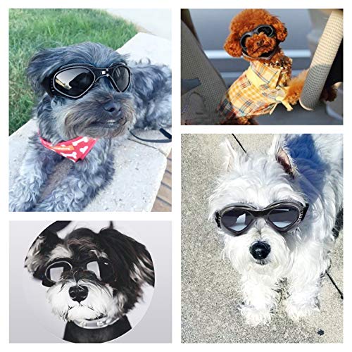 Hundebrille PEDOMUS Hunde Sonnenbrille, verstellbarer Riemen