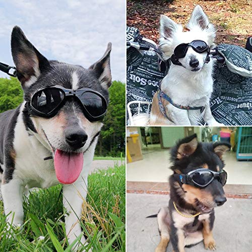 Hundebrille PEDOMUS Hunde Sonnenbrille, verstellbarer Riemen