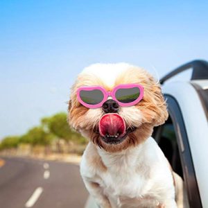Hundebrille PETLESO Hunde Sonnenbrille, wasserdicht