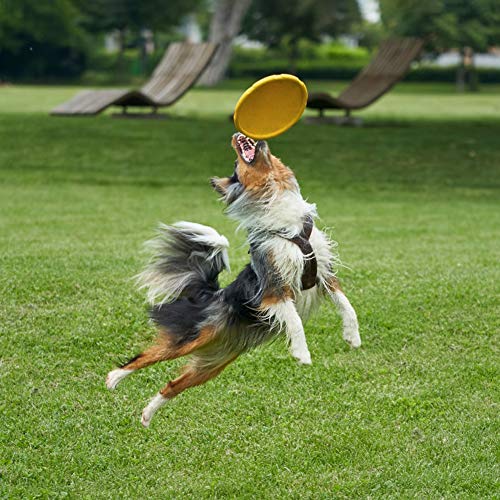 Hundefrisbee Vivifying, 2 Stück 18cm Hunde-Frisbee, Kautschuk