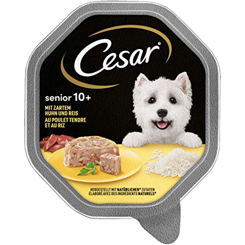 Hundefutter-Senior Cesar Nassfutter Senior 10+, 14 x 150g