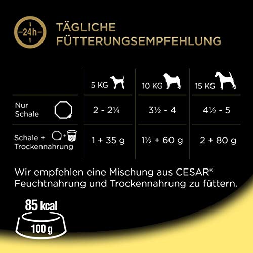 Hundefutter-Senior Cesar Nassfutter Senior 10+, 14 x 150g