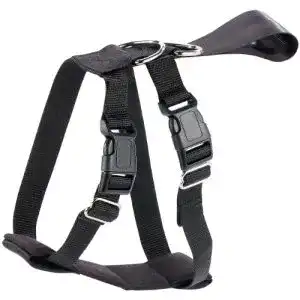 Hundegeschirr Auto infactory: Hundegeschirr, Größe XL, 56-89 cm