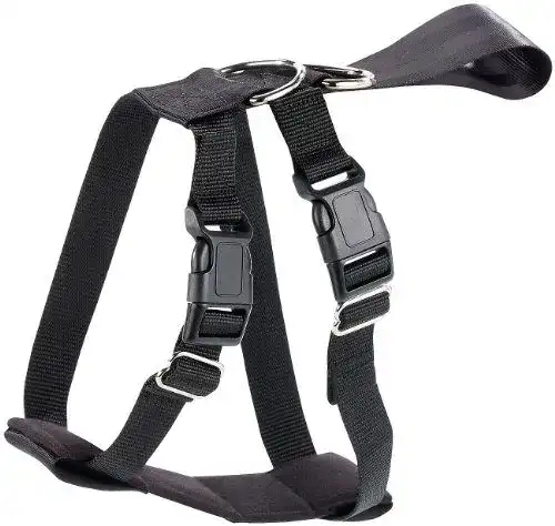 Hundegeschirr Auto infactory: Hundegeschirr, Größe XL, 56-89 cm