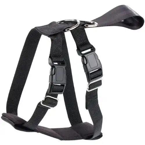 Hundegeschirr Auto infactory: Hundegeschirr, Größe XL, 56-89 cm