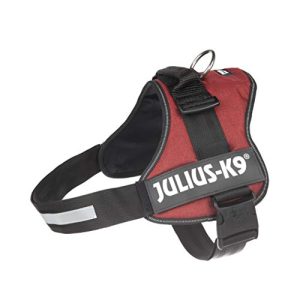 Dog harness JULIUS K-9 power harness, size: XL/2
