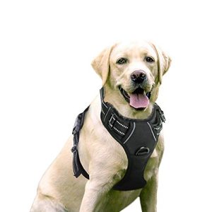 Dog harness rabbitgoo No-Pull breathable chest harness, L
