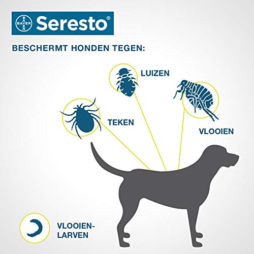 Hundehalsband Bayer Vital GmbH GB – Tierg Seresto Halsband