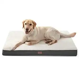 Die beste Hundekissen 2026 Test Bestseller Hundekissen