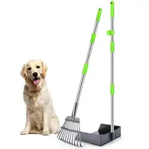 Die beste Hundekotschaufel 2026 Test Bestseller Hundekotschaufel