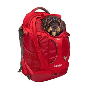 Hunderucksack Kurgo G-Train, Rucksack für Hunde bis 11kg