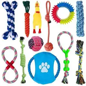 Hundespielzeug Parner, 12 Pcs, interaktives Spielset, unzerstörbar