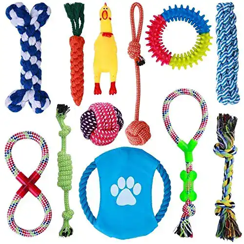 Hundespielzeug Parner, 12 Pcs, interaktives Spielset, unzerstörbar