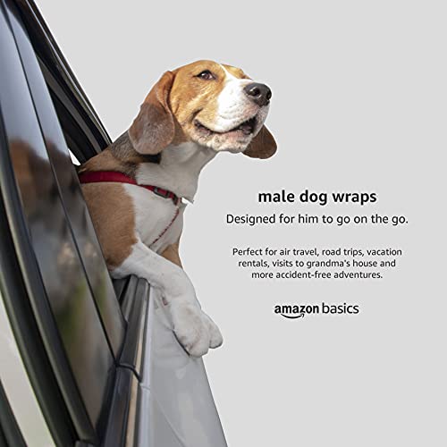 Hundewindeln Amazon Basics, für Rüden, Große, 30er-Pack