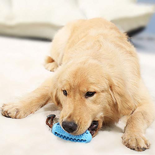 Hundezahnbürste onebarleycorn – Hund Zahnbürsten Stick
