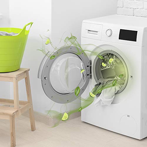 Hygienespüler Sagrotan Waschmaschinen Hygiene-Reiniger 250 ml