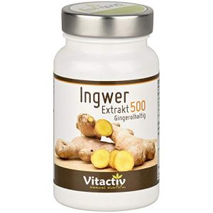 Ingwer-Kapseln Vitactiv Natural Nutrition INGWER Extrakt 500