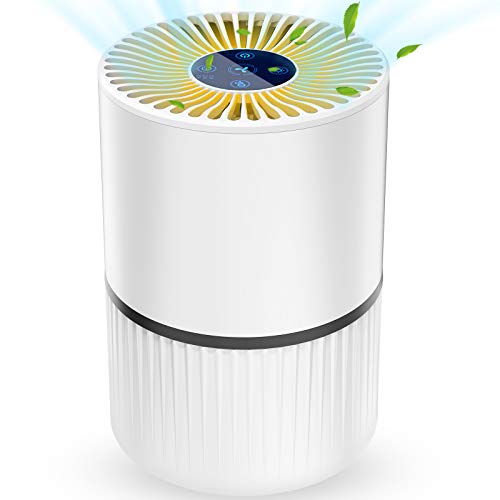 Die beste ionisator laluztop luftreiniger air purifier mit hepa kombifilter Bestsleller kaufen