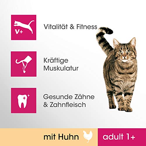 Katzen-Trockenfutter Perfect Fit Cat Perfect Fit Adult 1+, 7 kg