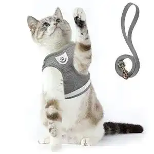 katzengeschirr-supet-geschirr-fuer-katzen-mit-leine-grau