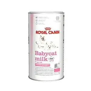 Katzenmilch