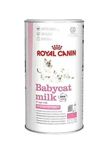Katzenmilch ROYAL CANIN, für kleine Katzen, 300 g