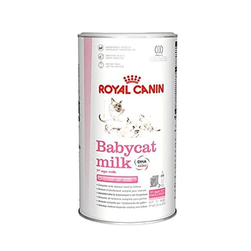 Die beste katzenmilch royal canin fuer kleine katzen 300 g Bestsleller kaufen