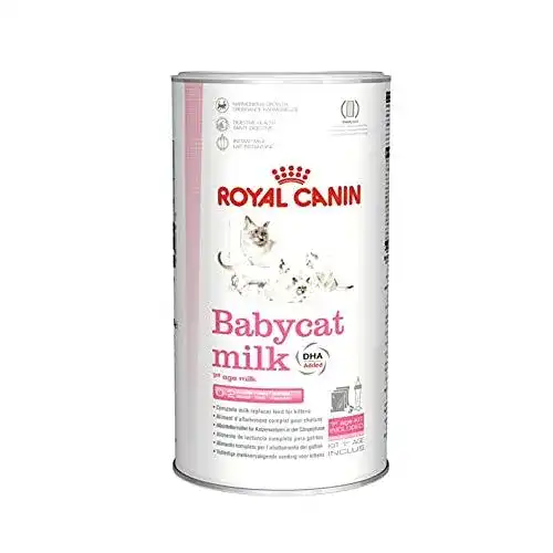 Die beste Katzenmilch ROYAL CANIN, für kleine Katzen, 300 g 2026 Test Bestseller Katzenmilch ROYAL CANIN, für kleine Katzen, 300 g