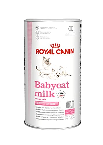Die beste katzenmilch royal canin fuer kleine katzen 300 g Bestsleller kaufen