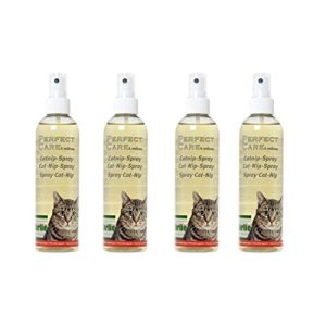 Katzenminze-Spray Cajou 1 Liter (4 Flaschen) Katzenminze