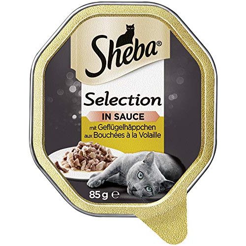 Katzennassfutter Sheba Selection in Sauce – 22 x 85g