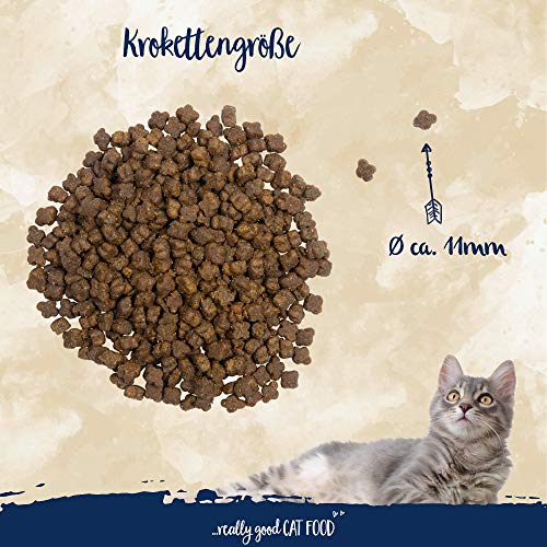 Kitten-Trockenfutter bosch Tiernahrung Sanabelle Kitten 10 kg