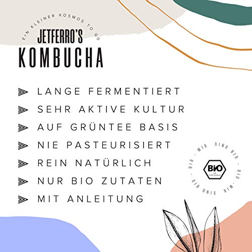 Kombucha-Pilz JETFERRO’S KOMBUCHA, Starter Kit inkl. Anleitung