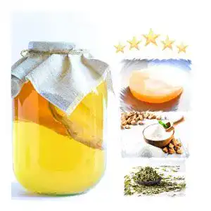 Kombucha-Pilz Rough & Tough KOMBUCHA SET