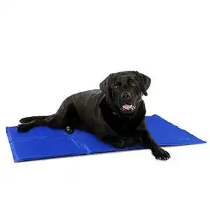 Kühlmatte Hund