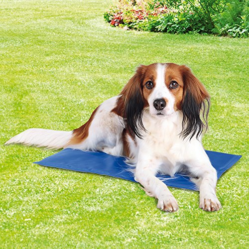 Die beste kuehlmatte hund trixie 28684 kuehlmatte 65 x 50 cm blau Bestsleller kaufen