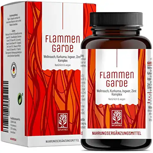 Kurkuma-Ingwer-Kapseln NATURTREU, hochdosiert, 90 Kapseln