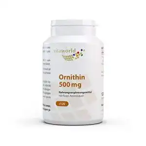 L-Ornithin