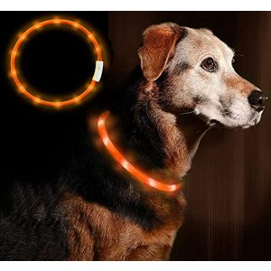Leuchthalsband Hund Anicoll LED Halsband, USB wiederaufladbar